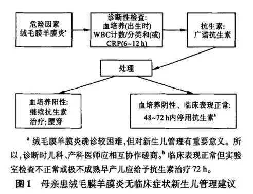 宫内感染新生儿的管理