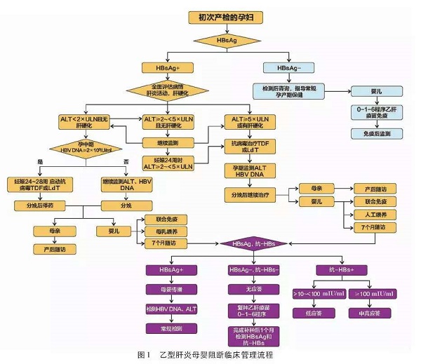临床管理流程图